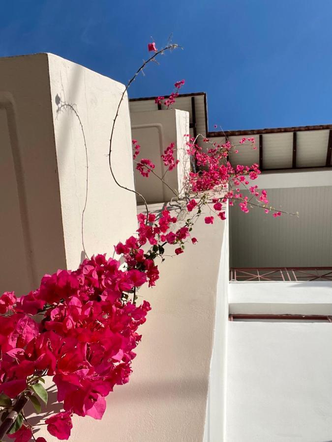 Gardenia Studios Νυδρί Εξωτερικό φωτογραφία